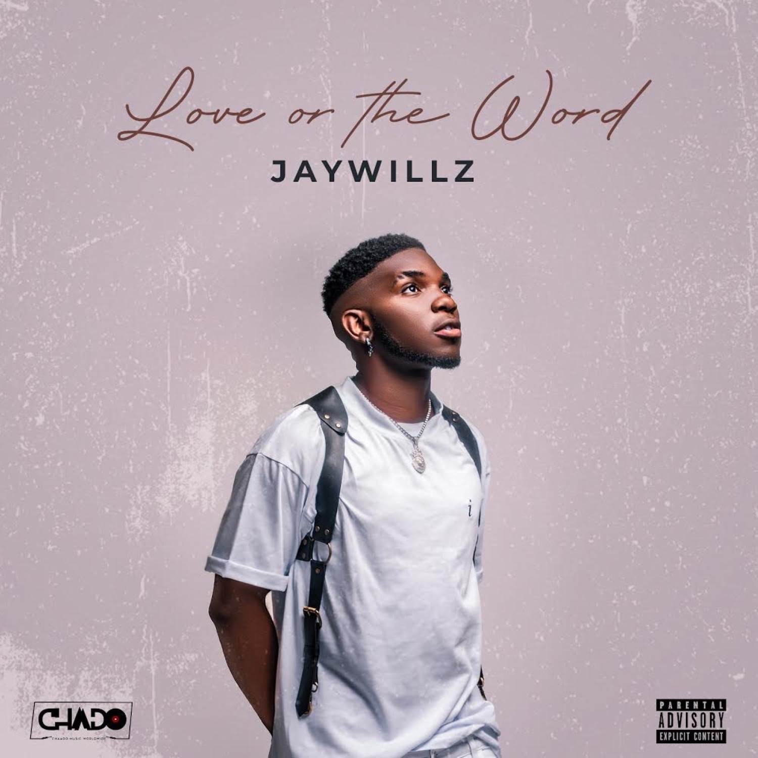 JAYWILLZ Love or the Word (EP) Album Cover