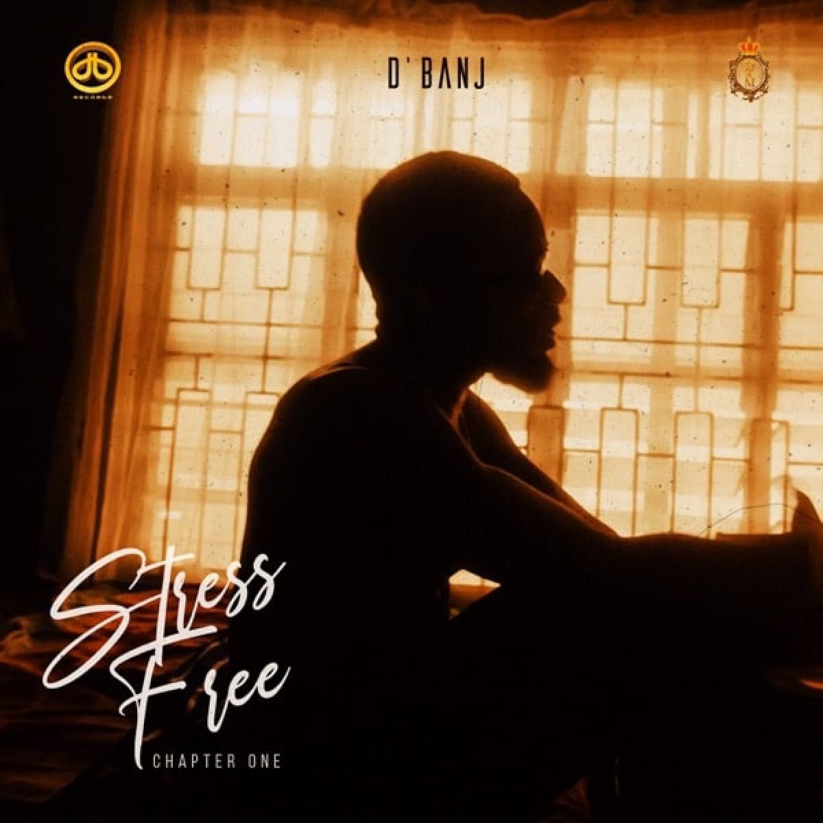 D'BANJ Stress Free, Chapter 1 Album Cover