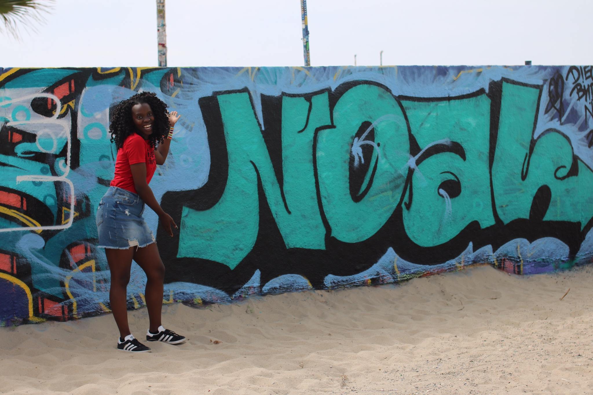 Lisa Oduor-Noah Photo