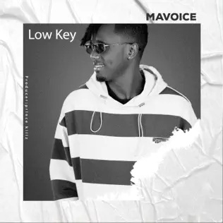 Mavoice Photo