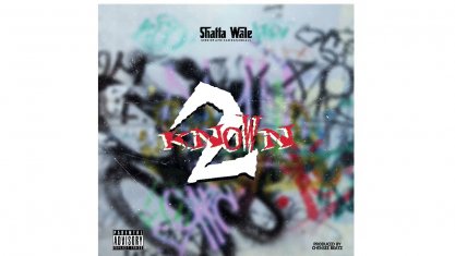 SHATTA WALE 2Known cover image