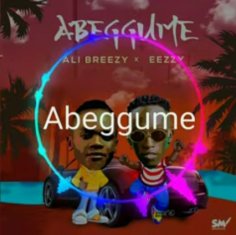 EEZZY Abeggume cover image