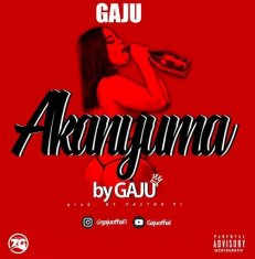 GAJU Akanyuma cover image