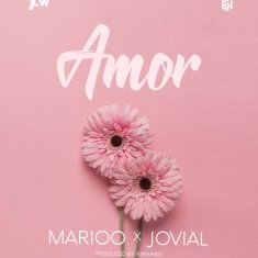 MARIOO Amor cover image