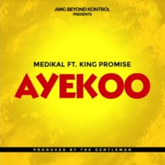 MEDIKAL Ayekoo cover image