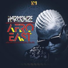 HARMONIZE Die cover image