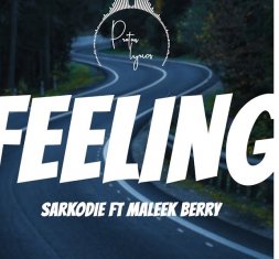 SARKODIE Feelings cover image