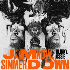 BLINKY BILL Jam Now, Simmer Down cover image