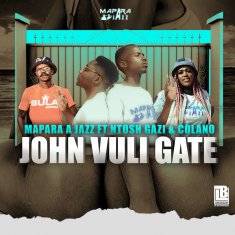 MAPARA A JAZZ John Vuli Gate cover image
