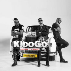 DIAMOND PLATNUMZ Kidogo cover image