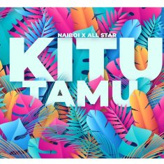 NAIBOI Kitu Tamu cover image