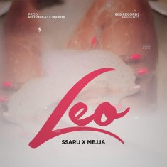 SSARU Leo cover image