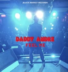 DADDY ANDRE  Like I Do cover image