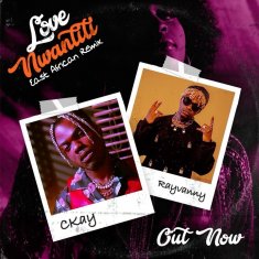 CKAY  Love Nwantiti (ft. Rayvanny) cover image
