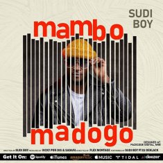 SUDI BOY Mambo Madogo cover image