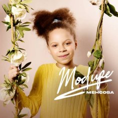 MEHCOSA Modupe cover image