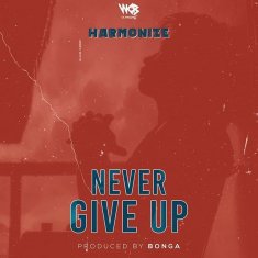 HARMONIZE(KONDE BOY) Never Give Up cover image