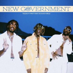 TEEZEE New Government cover image