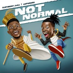 TESTIMONY JAGA Not Normal cover image