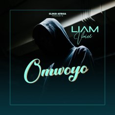 Liam Voice Lyrics, Biography and Albums | AfrikaLyrics