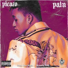 PICAZO Pain cover image