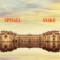 DJ SPINALL Palazzo cover image