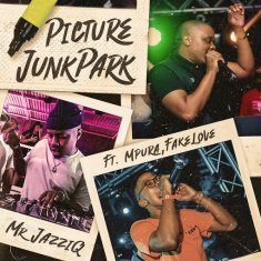 MR JAZZIQ  Picture JunkPark cover image