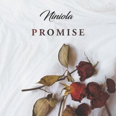 NINIOLA Promise  cover image