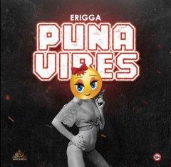 ERIGGA Puna Vibes cover image