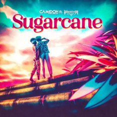 CAMIDOH  Sugarcane  cover image