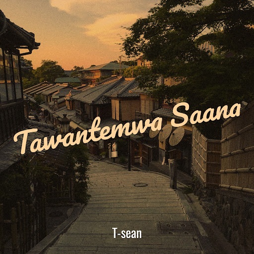T SEAN Tawantemwa Saana cover image