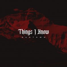 RUNTOWN Things I Know cover image