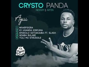 CRYSTO PANDA Tuli Mu Struggle cover image