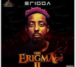 ERIGGA Two Criminals cover image