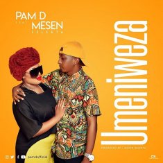 PAM D  Umeniweza cover image