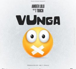 AMBER LULU Vunga cover image