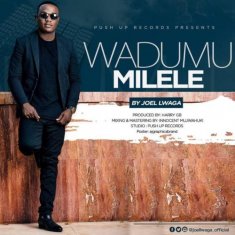 JOEL LWAGA Wadumu Milele cover image