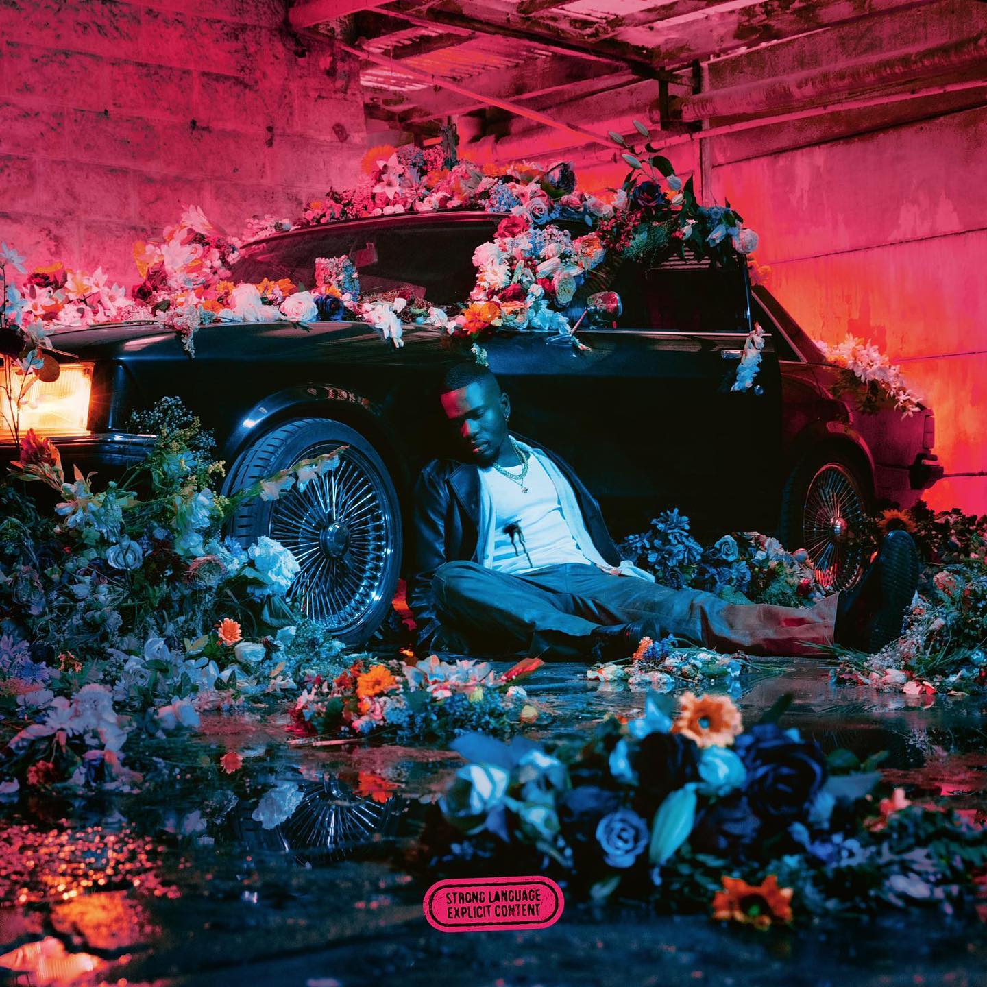 TAYC 5 Ans cover image