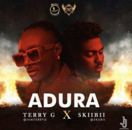 TERRY G Adura cover image