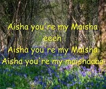 GREEN RAYZ Aisha by Green Rayz cover image