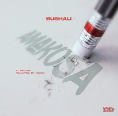 BUSHALI Amakosa cover image
