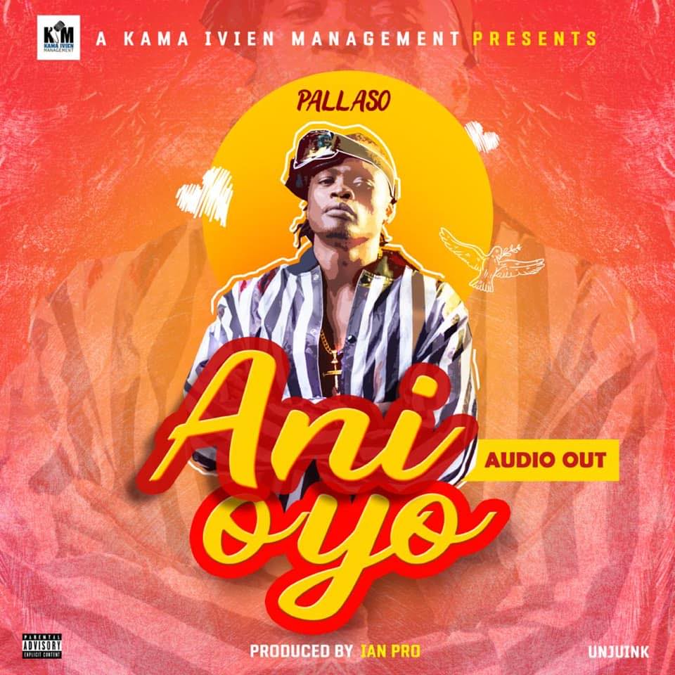 PALLASO Ani Oyo cover image