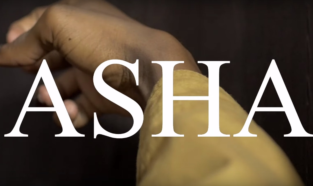 HOLOCAUST Asha cover image