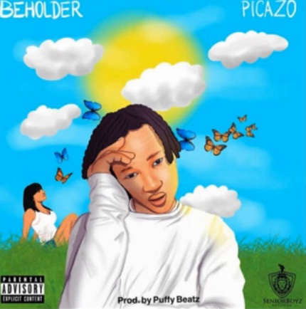 PICAZO Beholder cover image