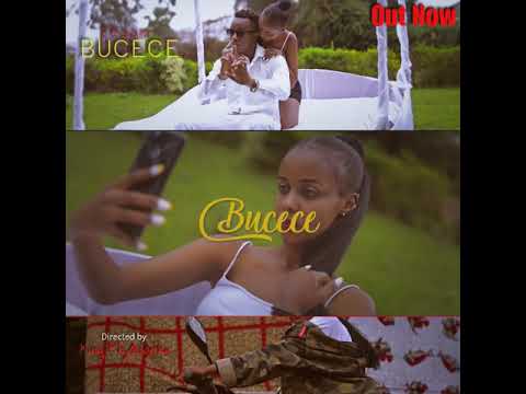 EESAM Bucece cover image