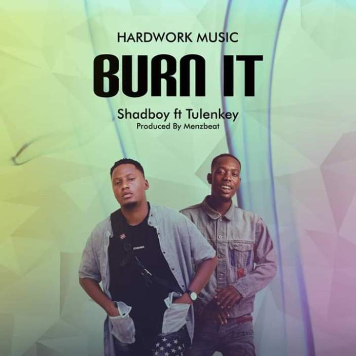TULENKEY Burn It cover image