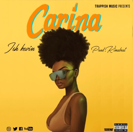 ISH KEVIN Carina cover image