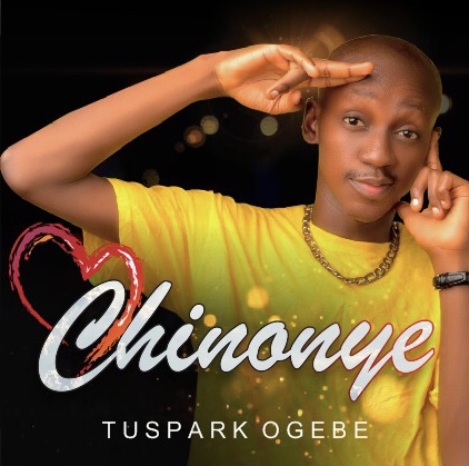 TUSPARK OGEBE Chinonye cover image
