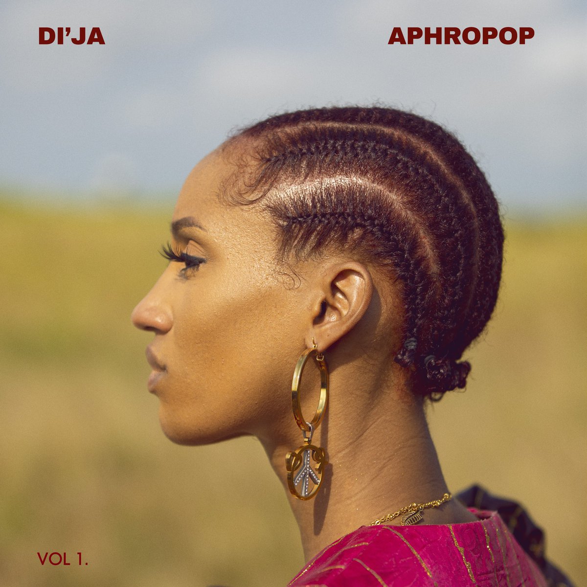 Di'ja - Crazy Lyrics (Ft. Sunkey) | AfrikaLyrics