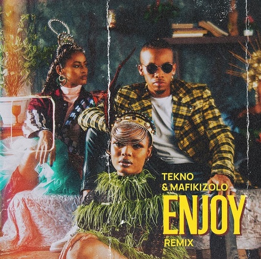 TEKNO Enjoy Remix cover image